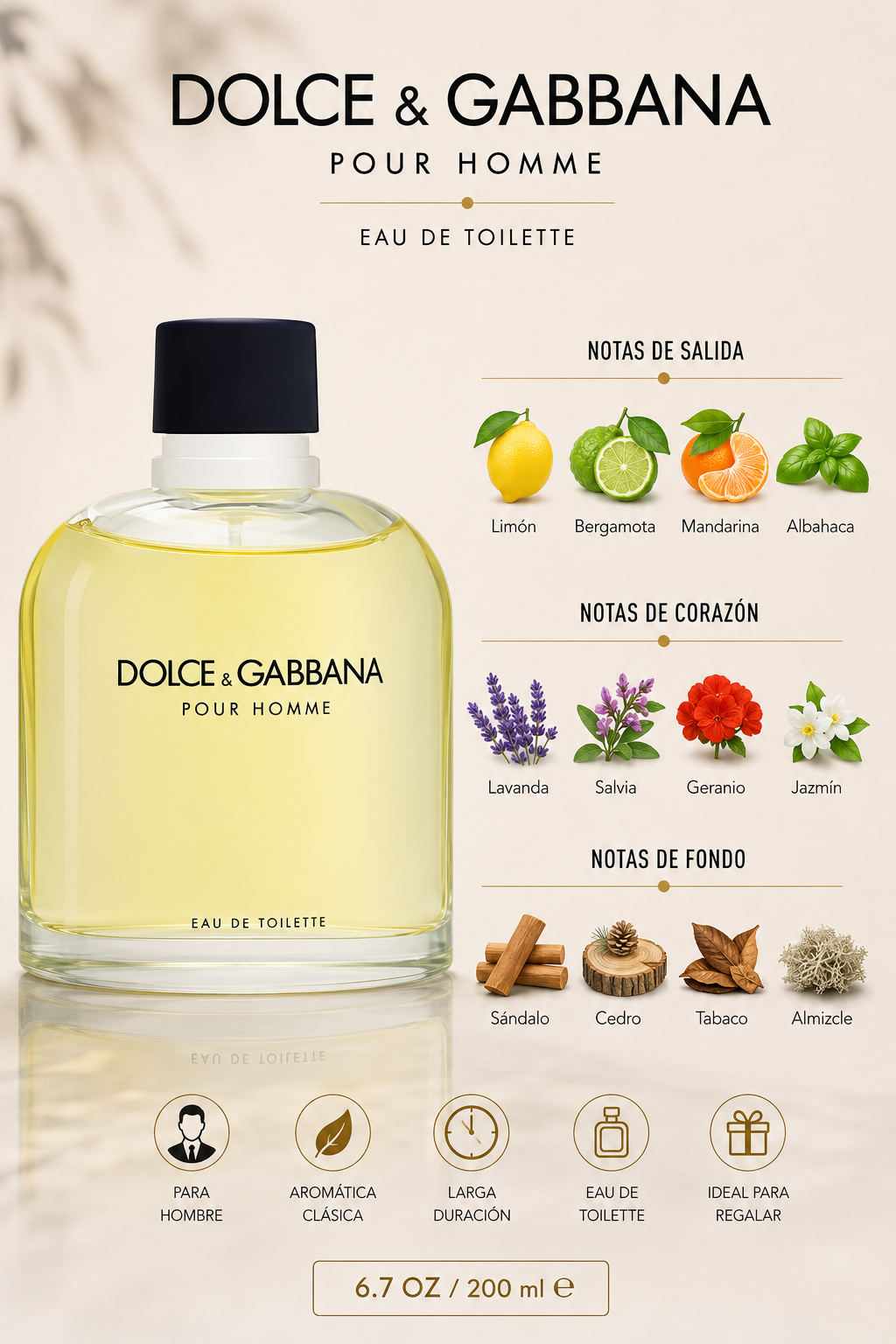DOLCE & GABBANA POUR HOMME 6.7 EDT M 200 ML - Imagen 2